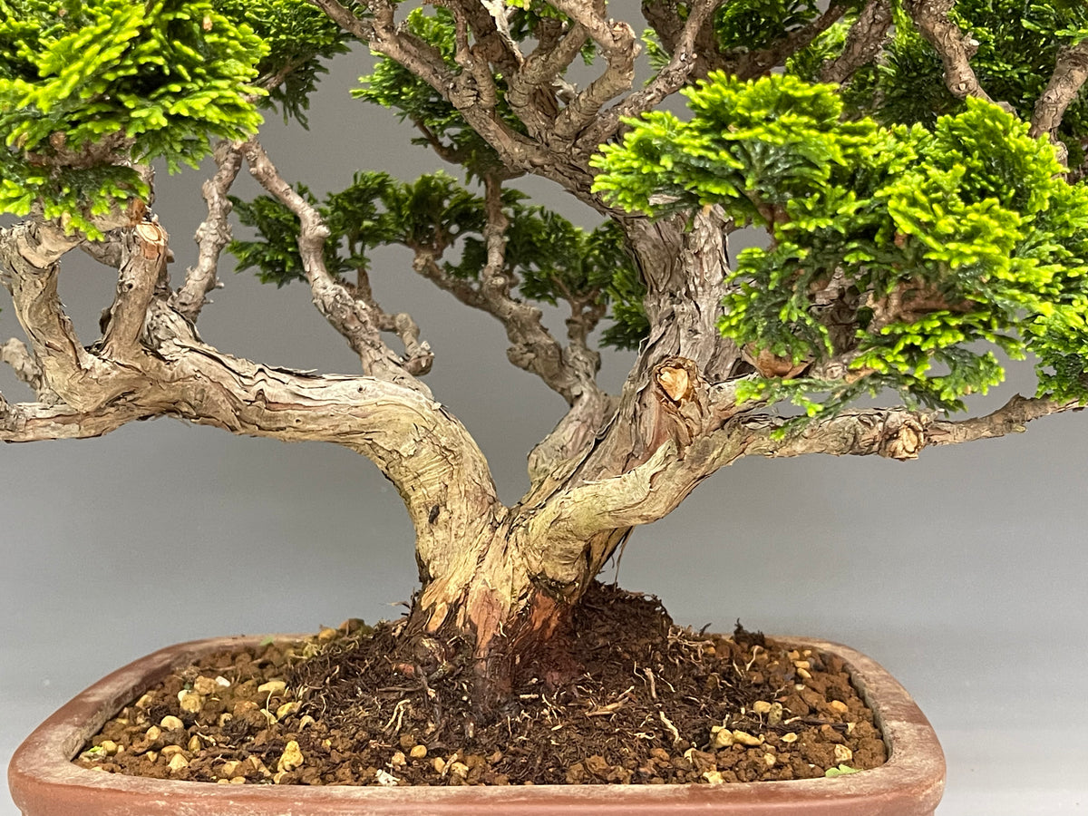 F31D6AE1-3132-4A5D-9FD1-