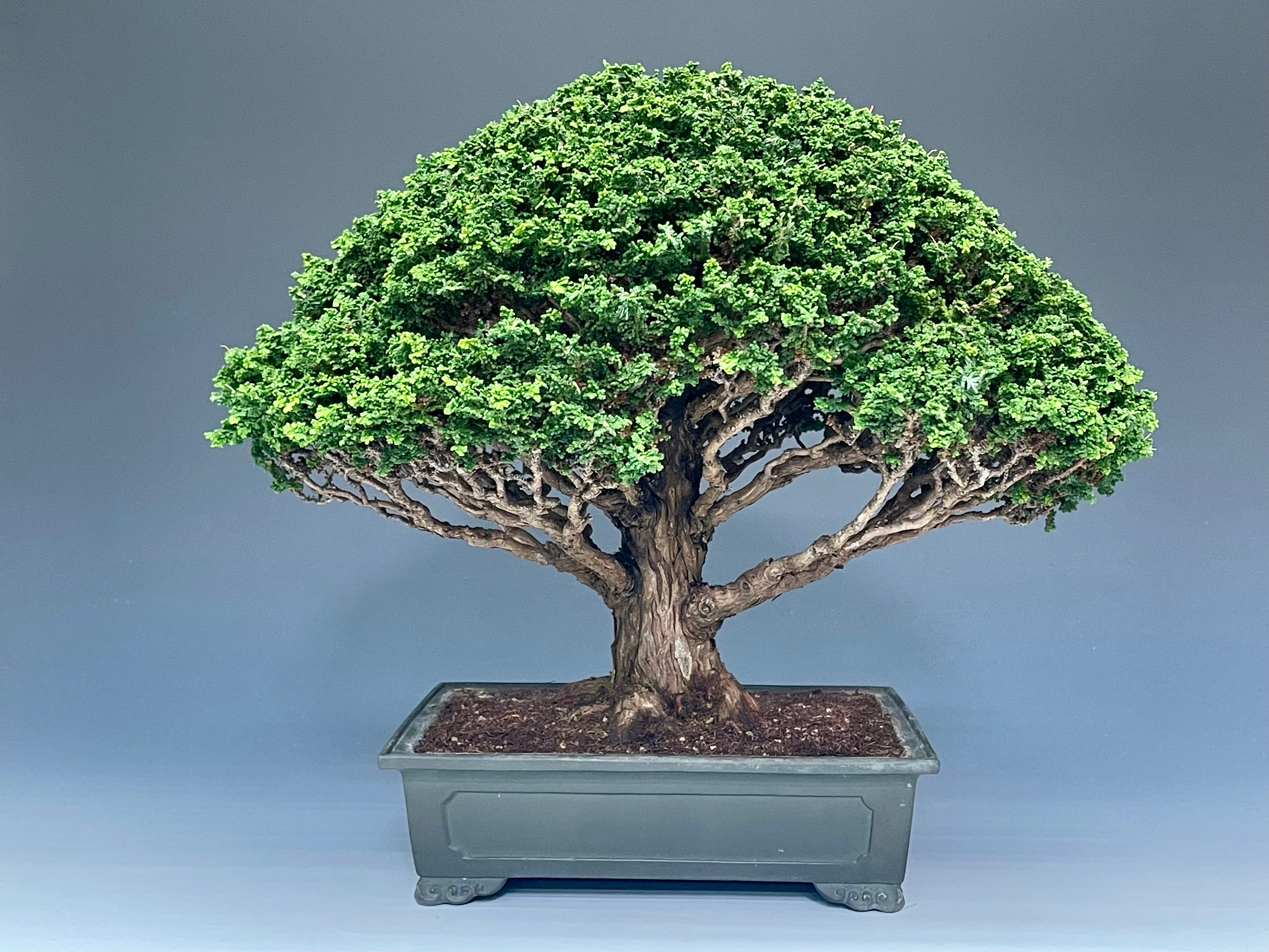 21E88C4E-AA85-46AE-B31E- 21E88C4E-AA85-46AE-B31E-